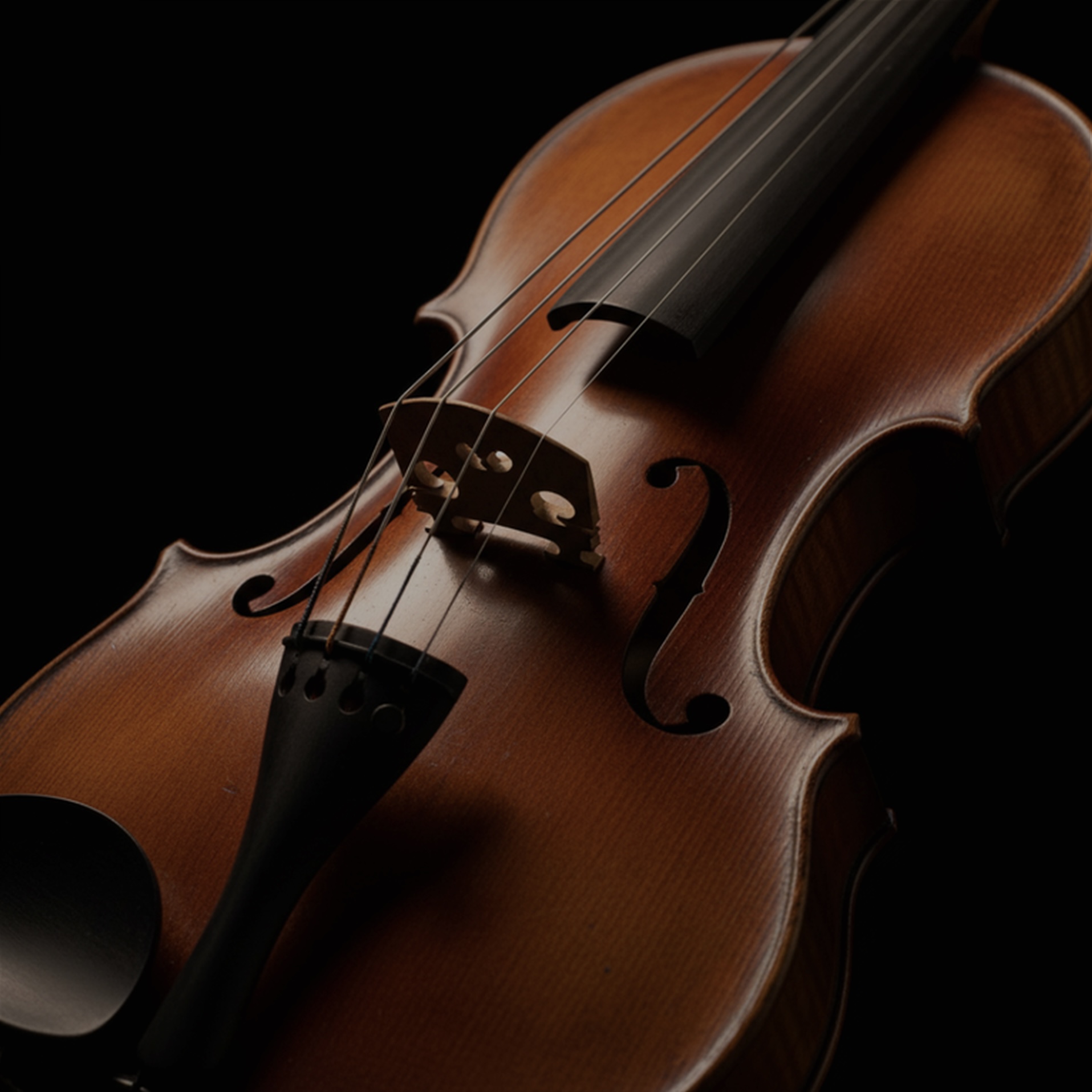 Violin close-up